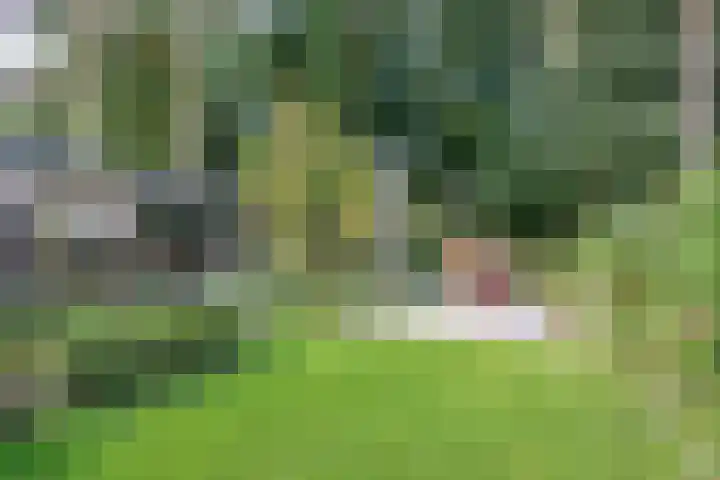 Platolaan 71 Zeist thumbnail 47