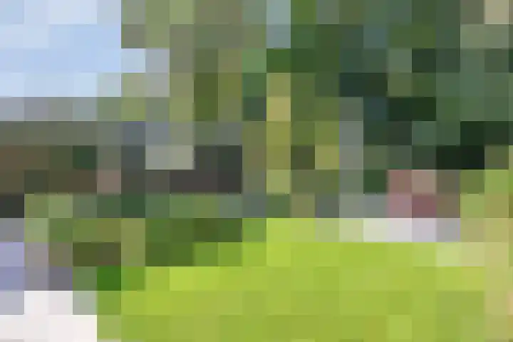 Platolaan 71 Zeist thumbnail 48