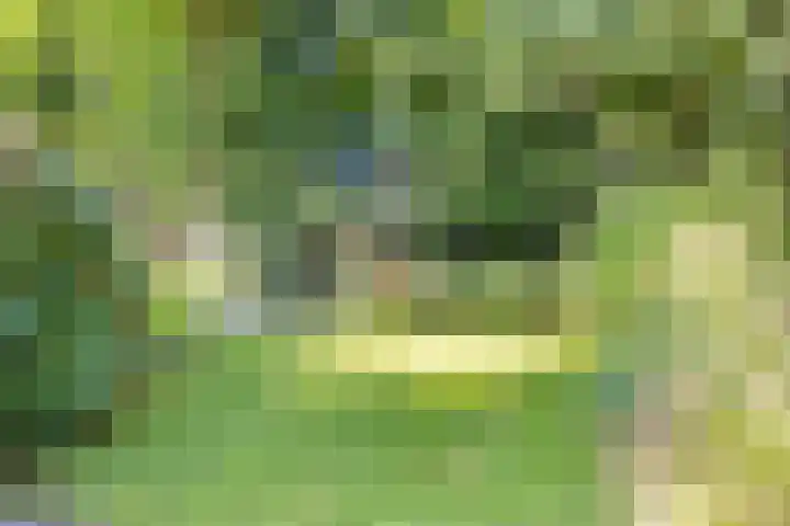 Platolaan 71 Zeist thumbnail 49