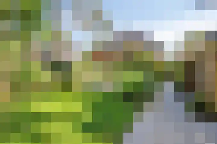 Platolaan 71 Zeist thumbnail 50