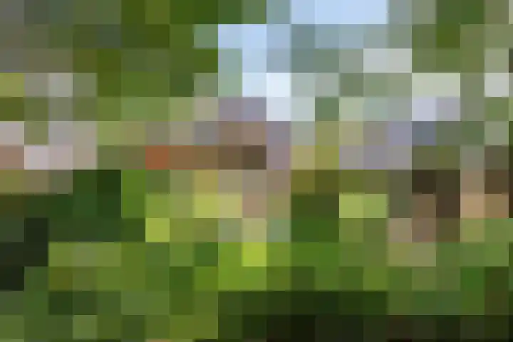 Platolaan 71 Zeist thumbnail 51