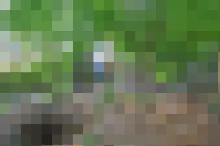 Platolaan 71 Zeist thumbnail 52