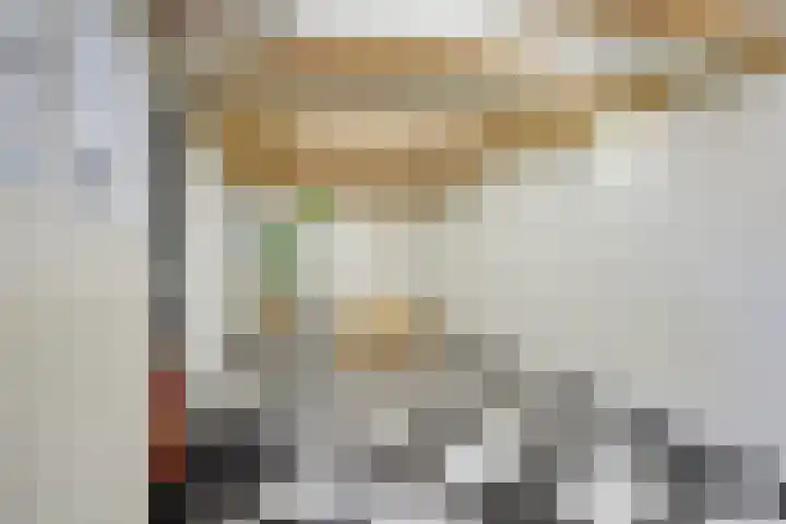 Platolaan 71 Zeist thumbnail 53