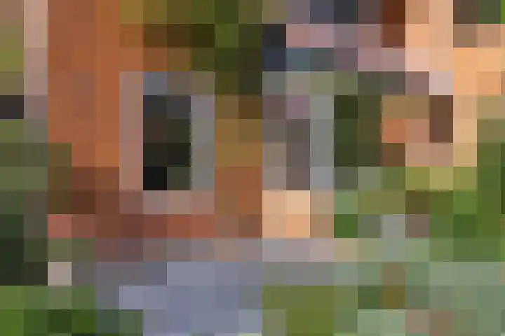 Platolaan 71 Zeist thumbnail 59