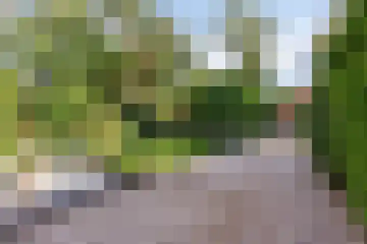 Platolaan 71 Zeist thumbnail 60