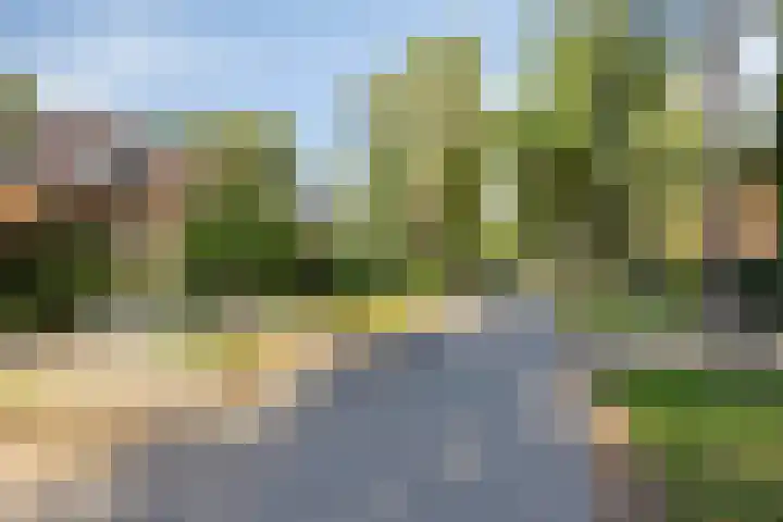 Platolaan 71 Zeist thumbnail 61