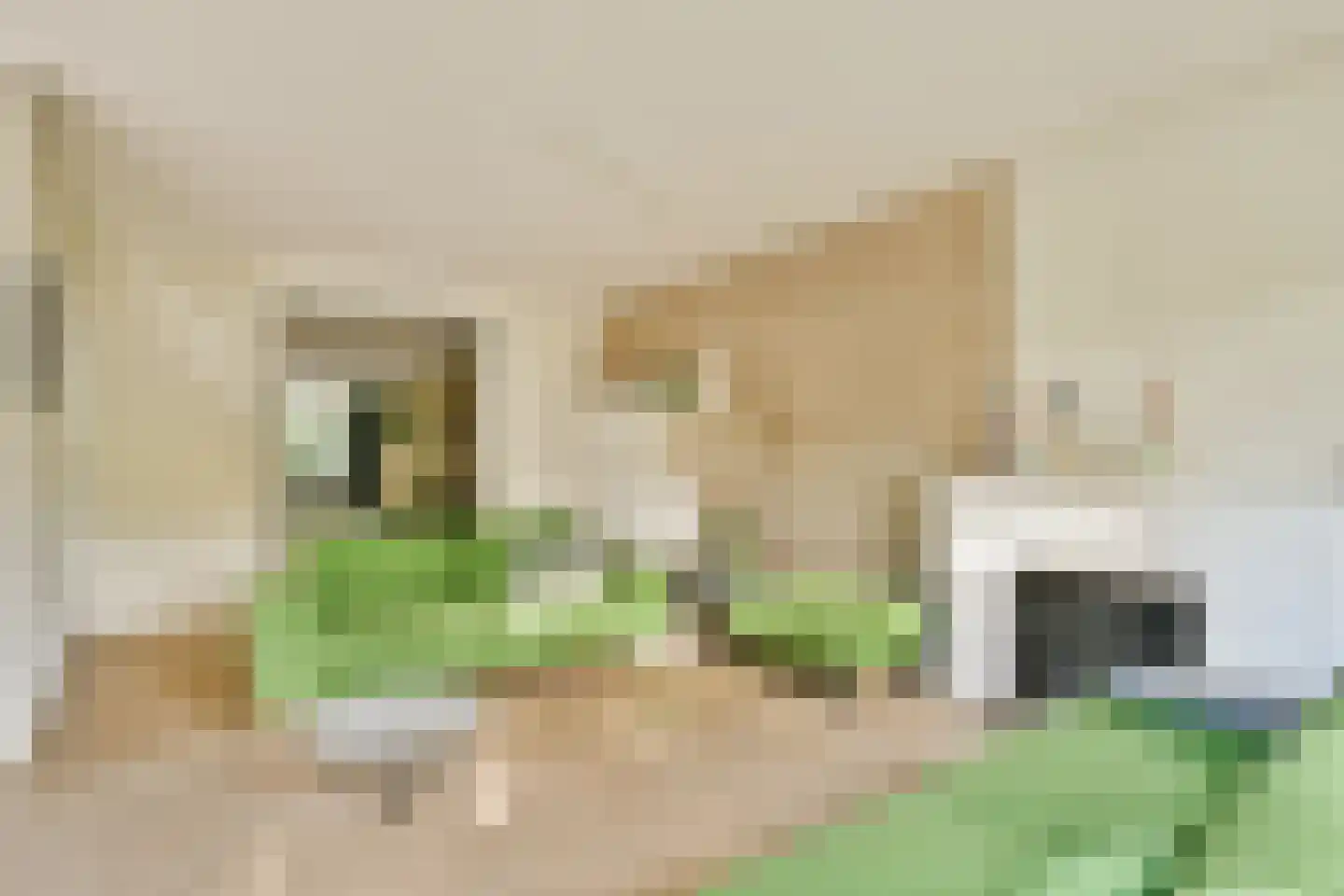 Platolaan 75 Zeist thumbnail 10