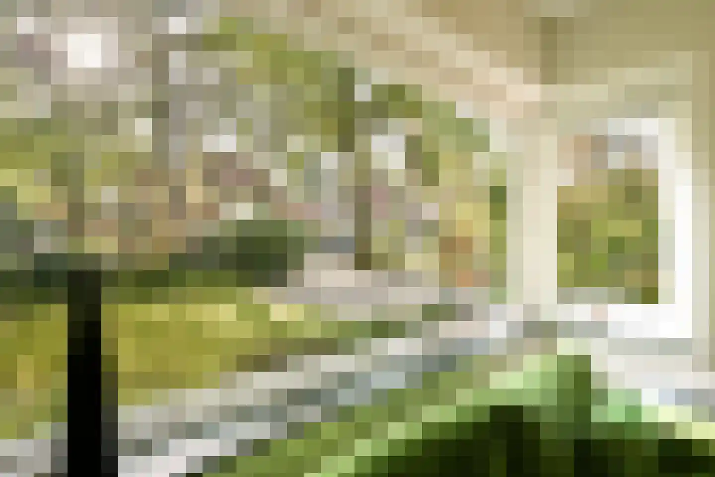 Platolaan 75 Zeist thumbnail 11