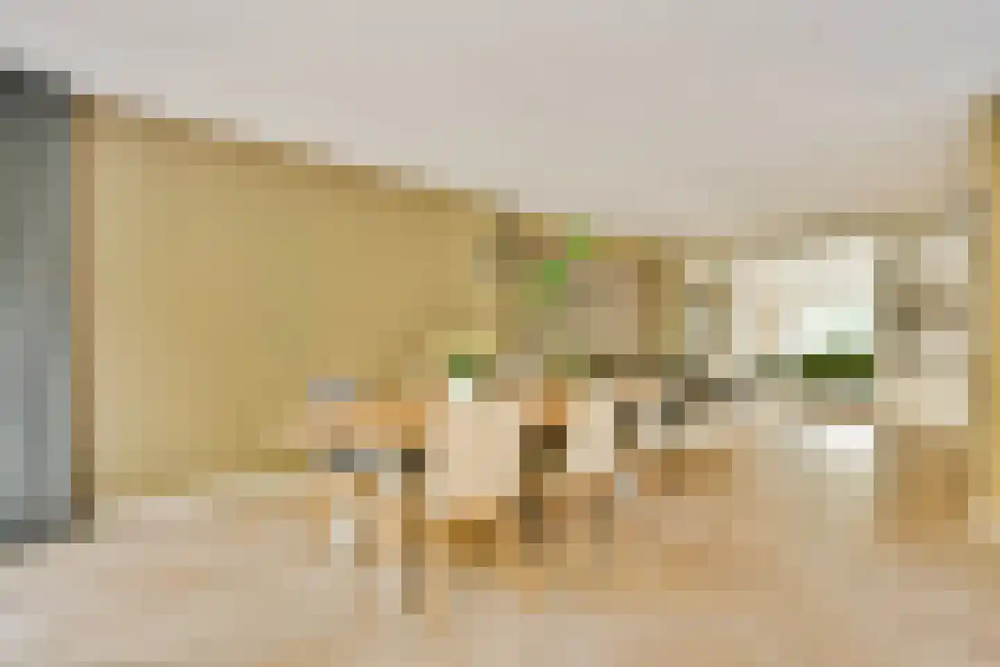 Platolaan 75 Zeist thumbnail 16