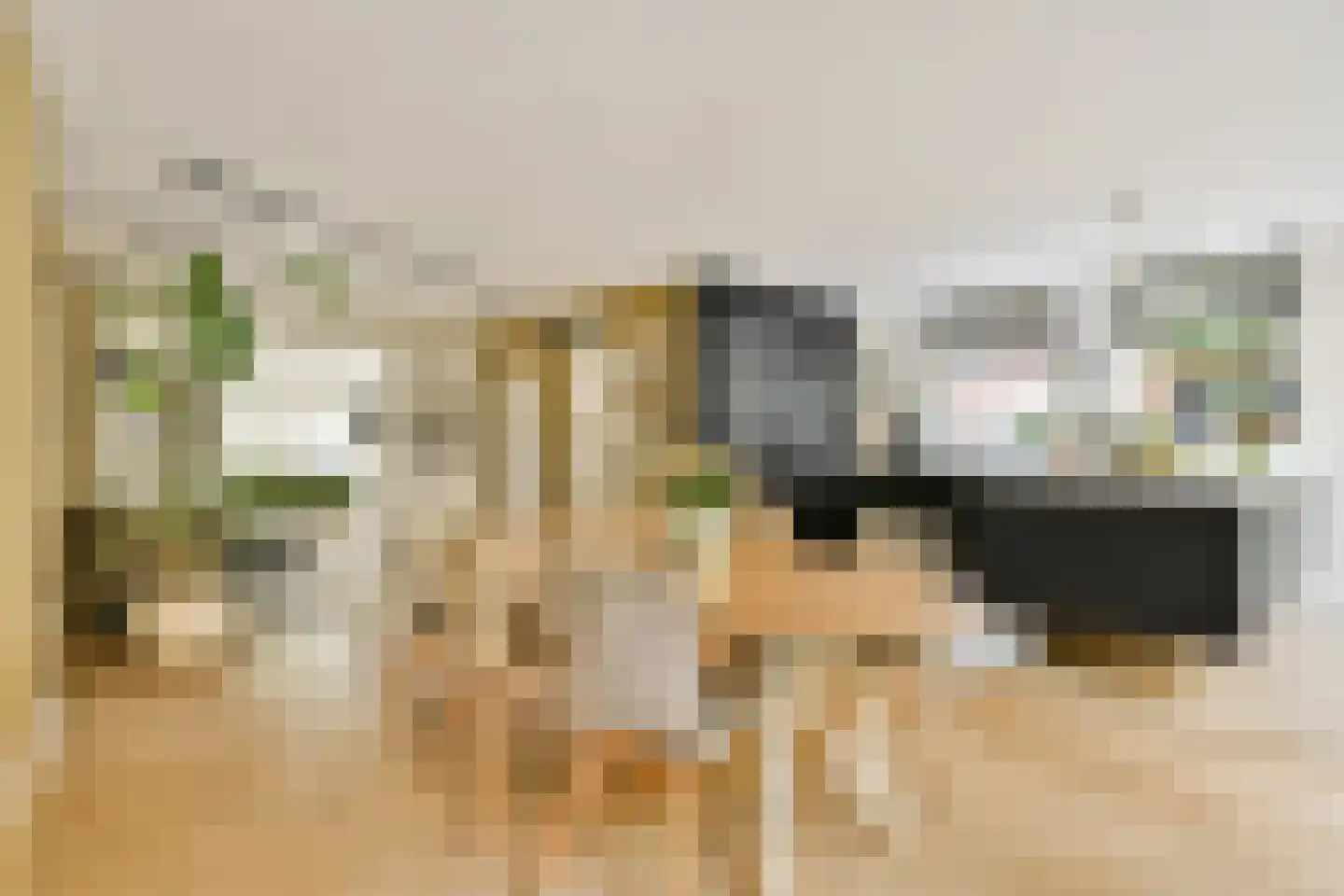 Platolaan 75 Zeist thumbnail 17