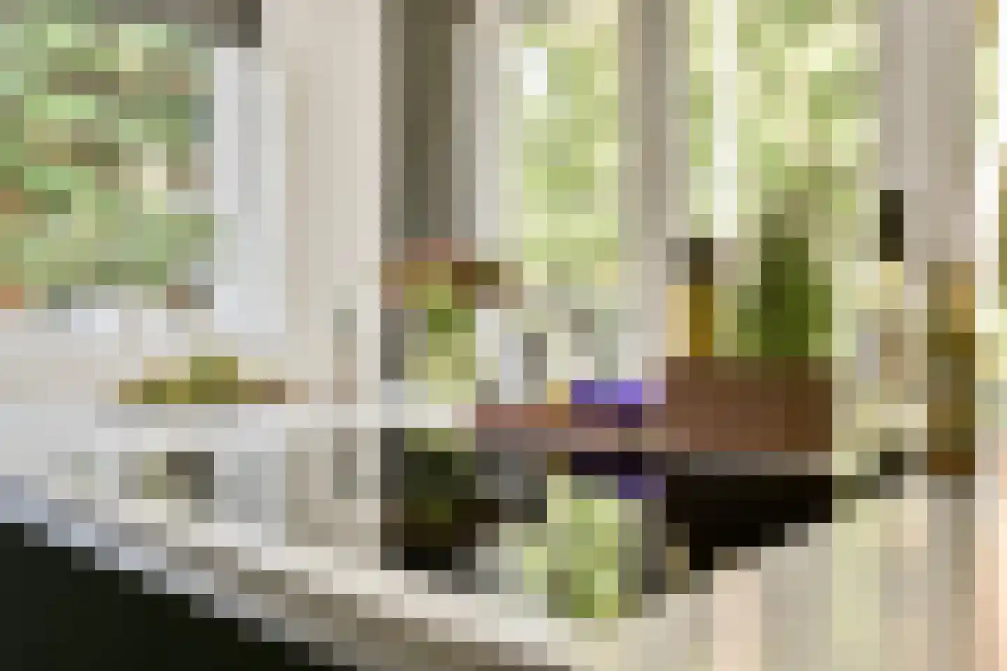 Platolaan 75 Zeist thumbnail 23
