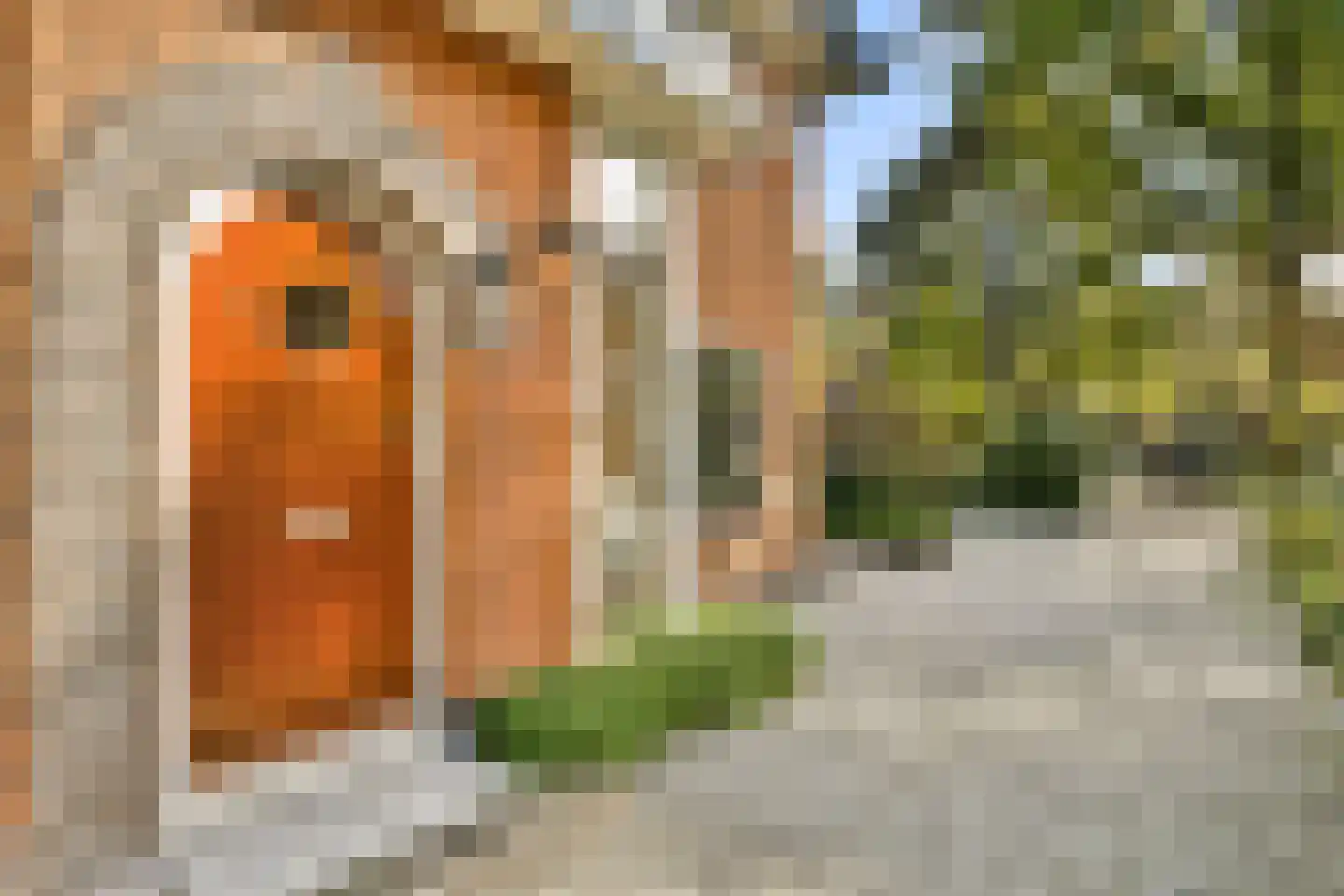 Platolaan 75 Zeist foto 3