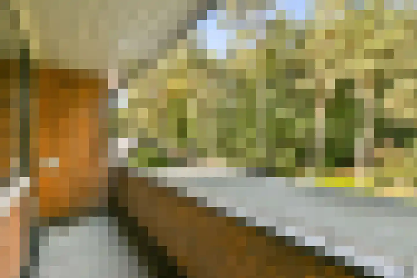 Platolaan 75 Zeist thumbnail 32