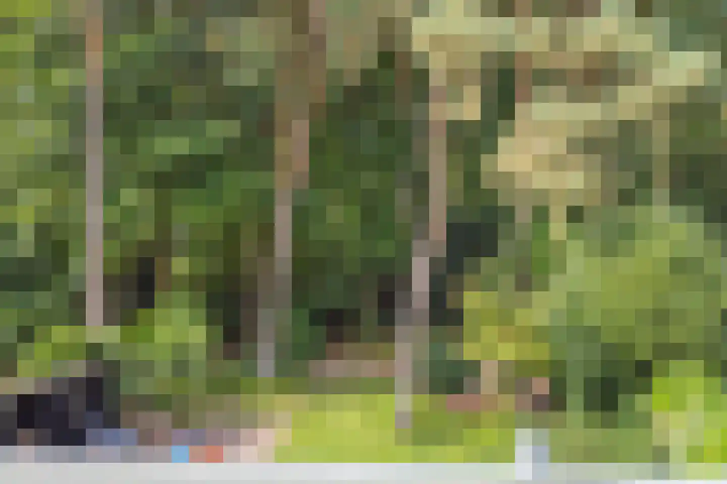 Platolaan 75 Zeist thumbnail 33