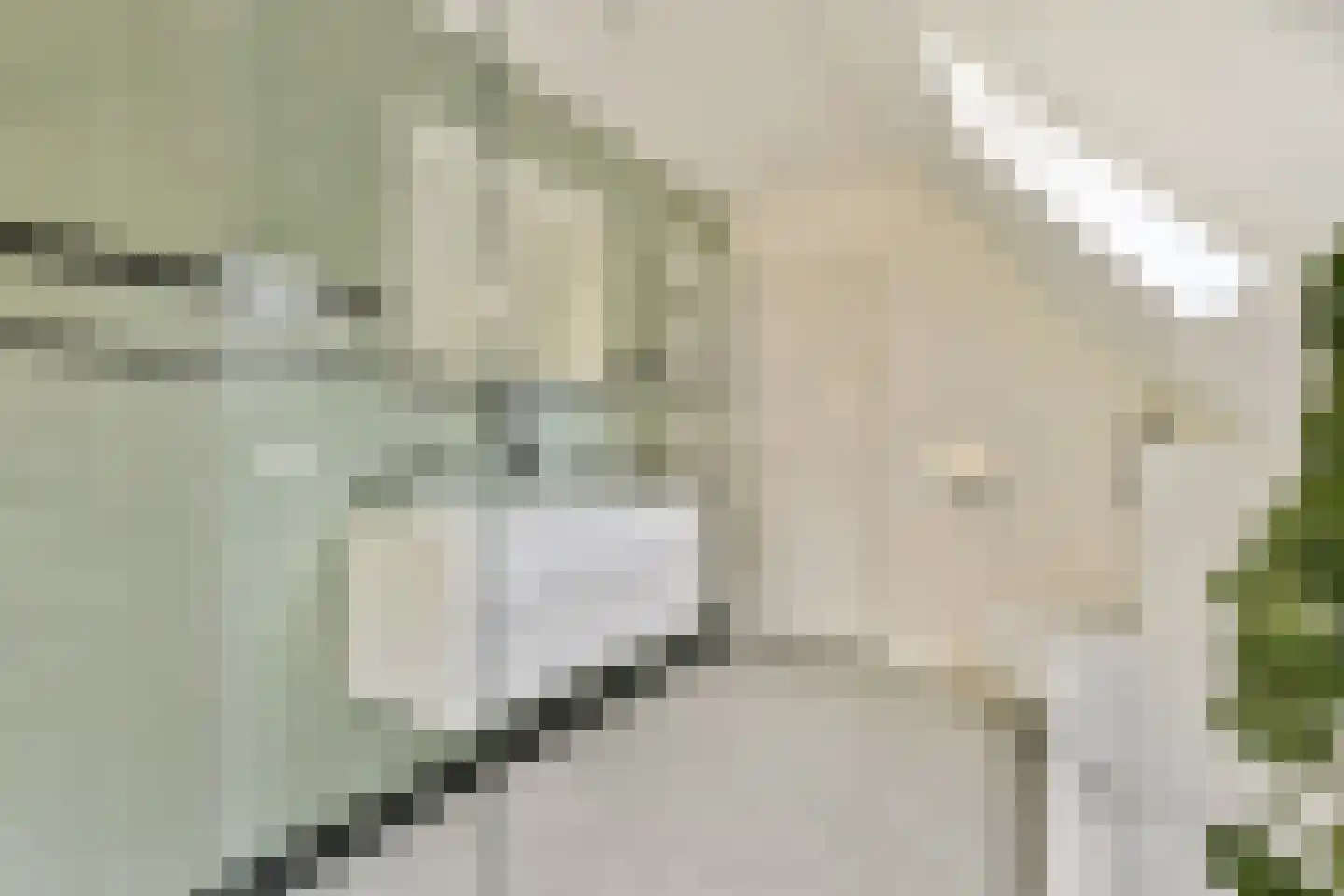 Platolaan 75 Zeist thumbnail 37