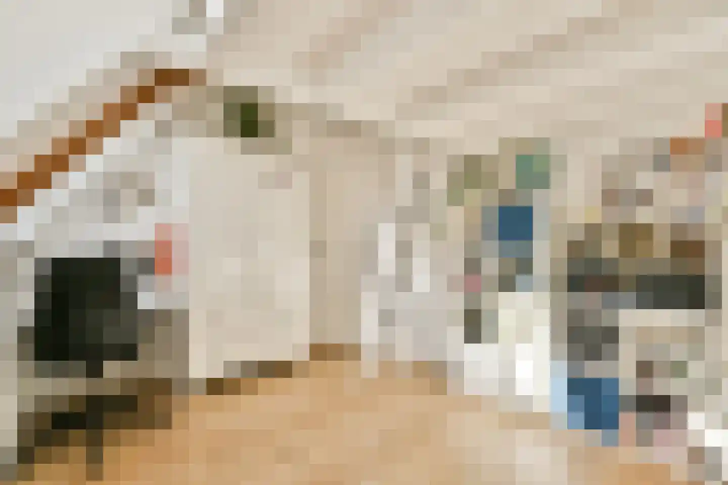 Platolaan 75 Zeist thumbnail 44