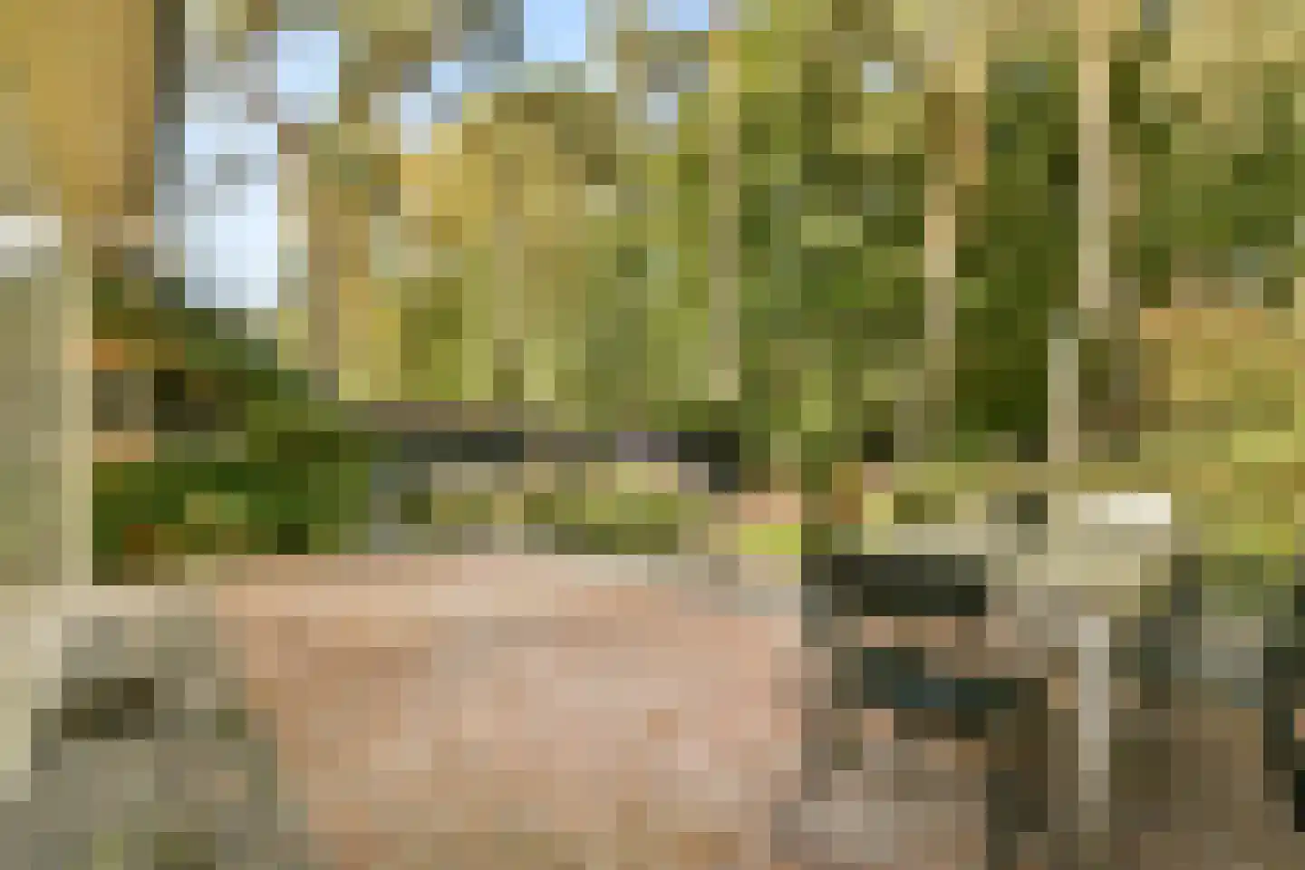 Platolaan 75 Zeist thumbnail 51