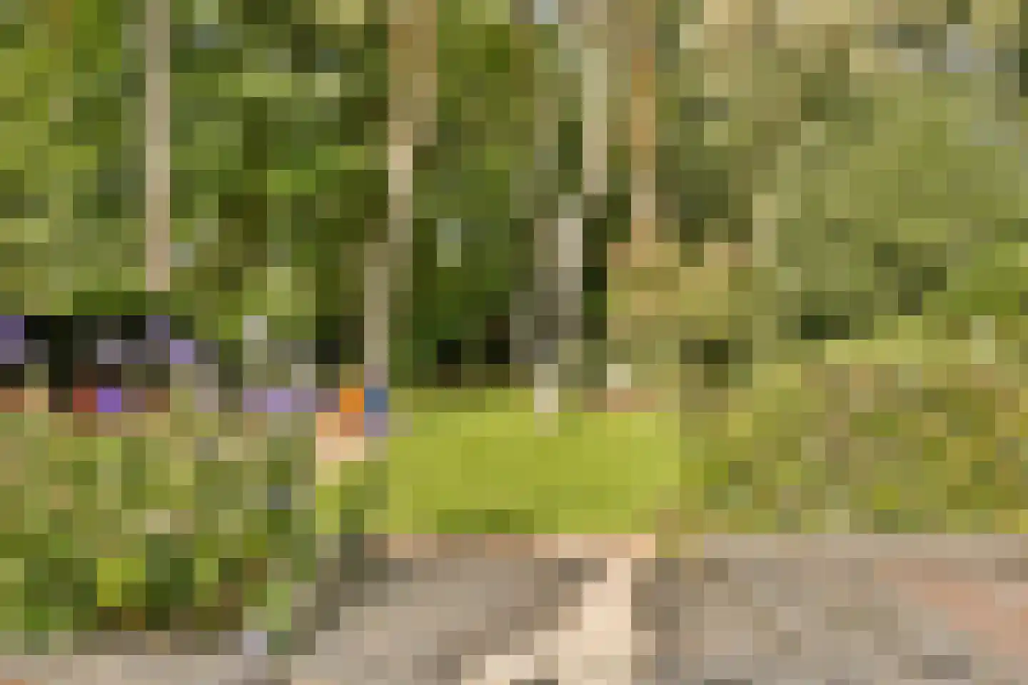 Platolaan 75 Zeist thumbnail 52