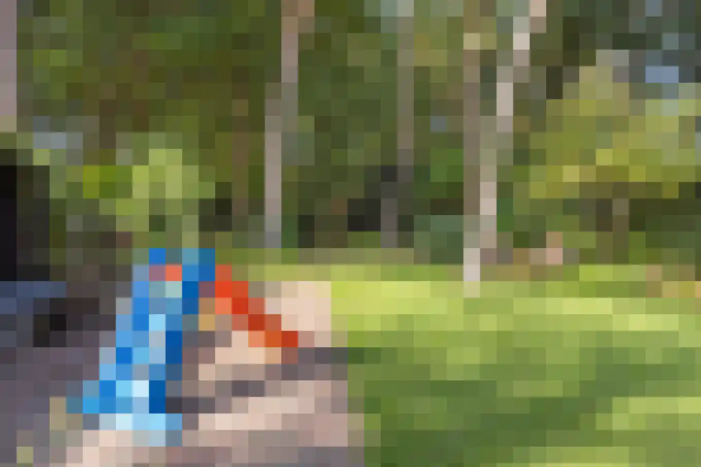 Platolaan 75 Zeist thumbnail 53