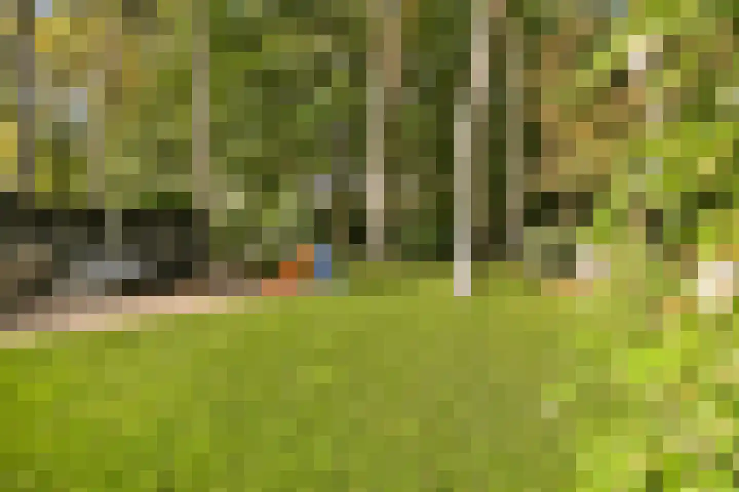 Platolaan 75 Zeist thumbnail 55