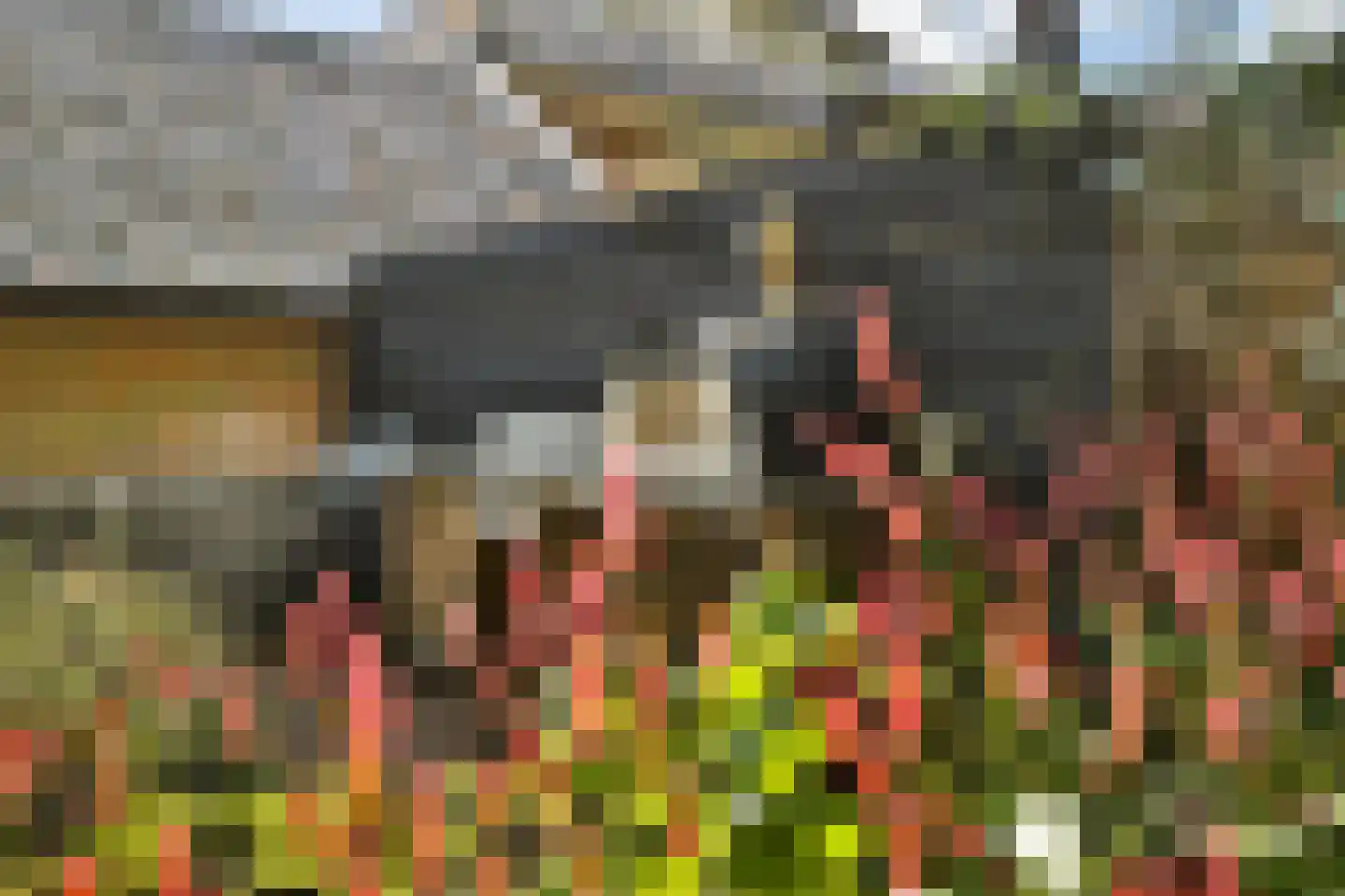Platolaan 75 Zeist thumbnail 56