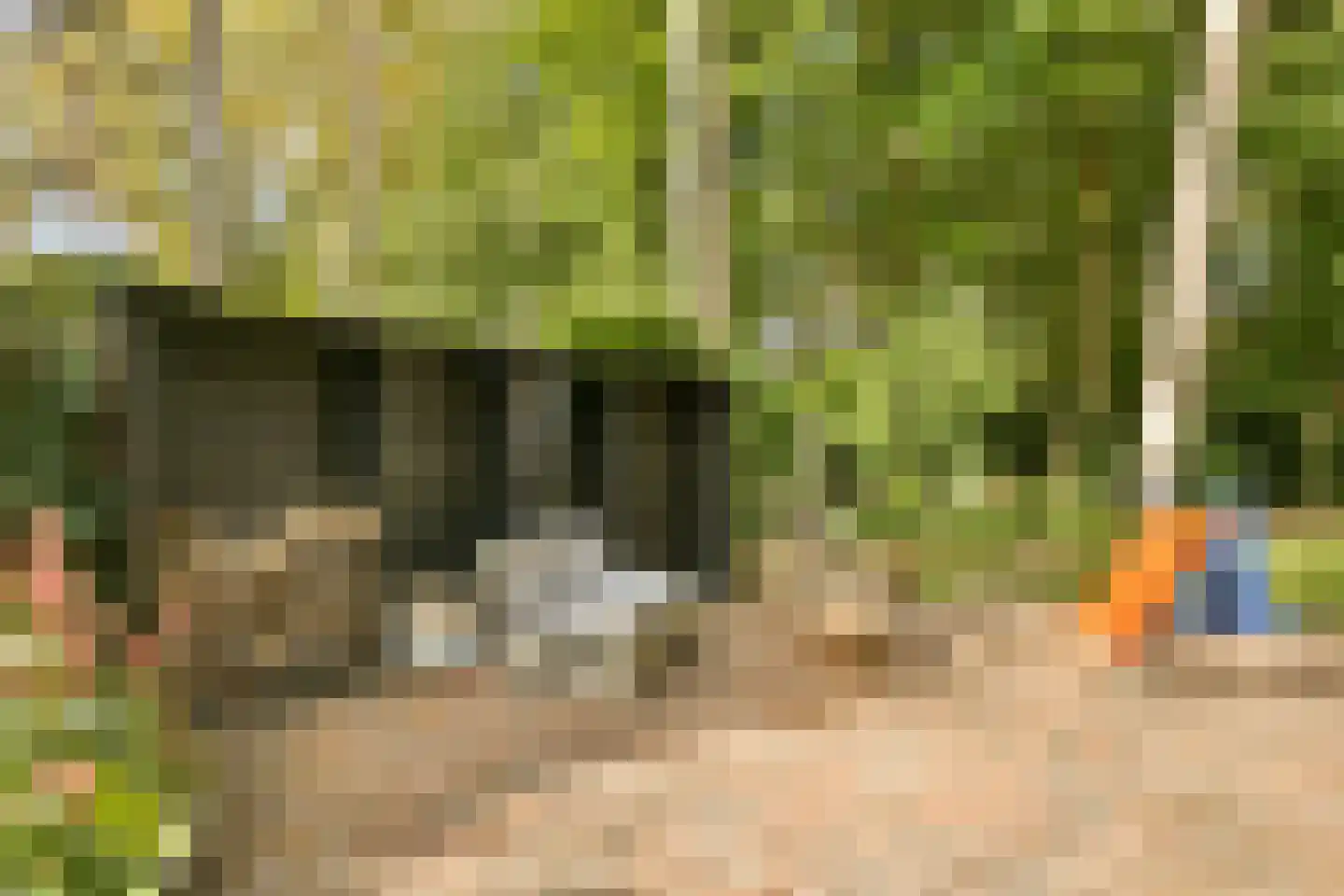 Platolaan 75 Zeist thumbnail 57
