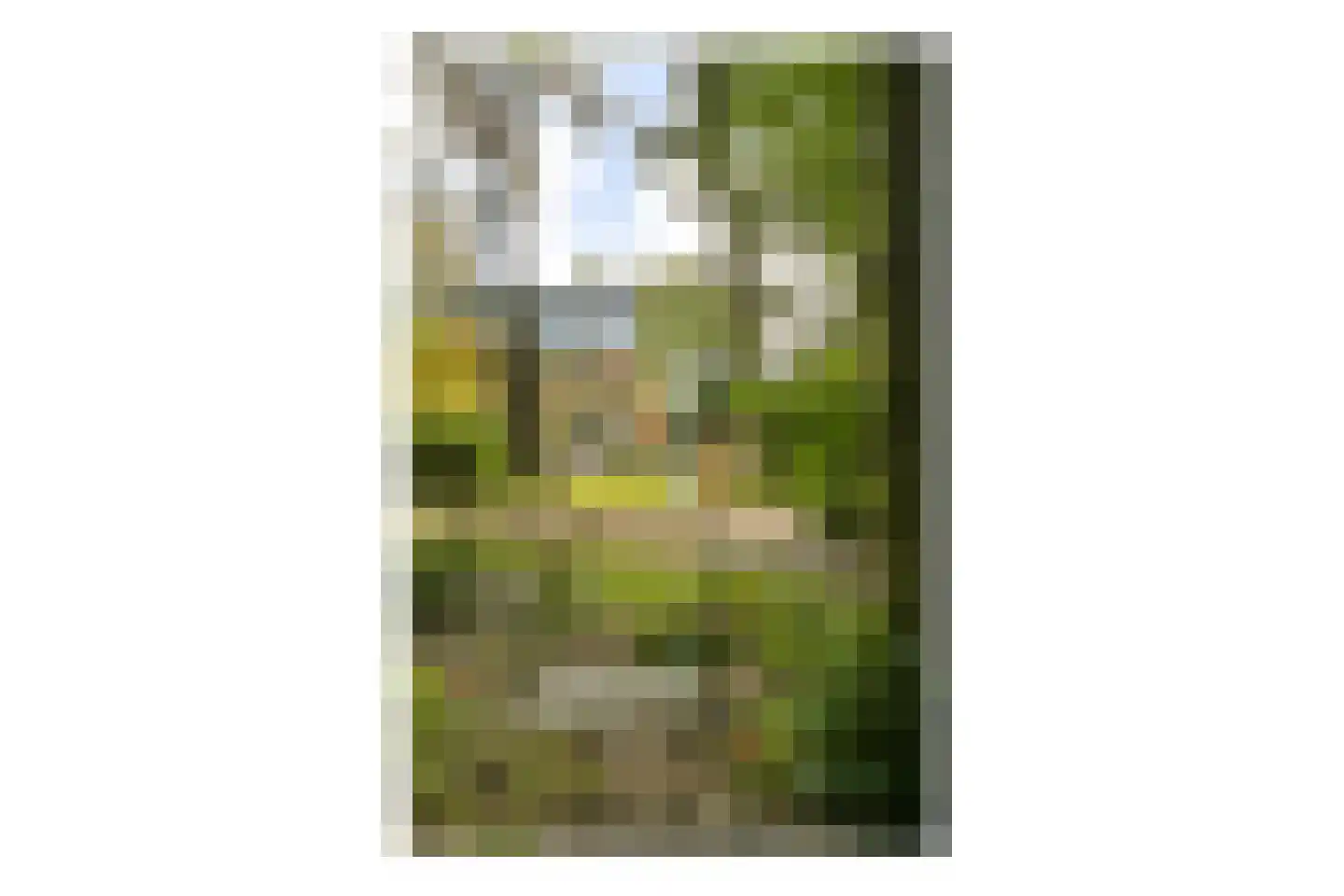 Platolaan 75 Zeist thumbnail 59