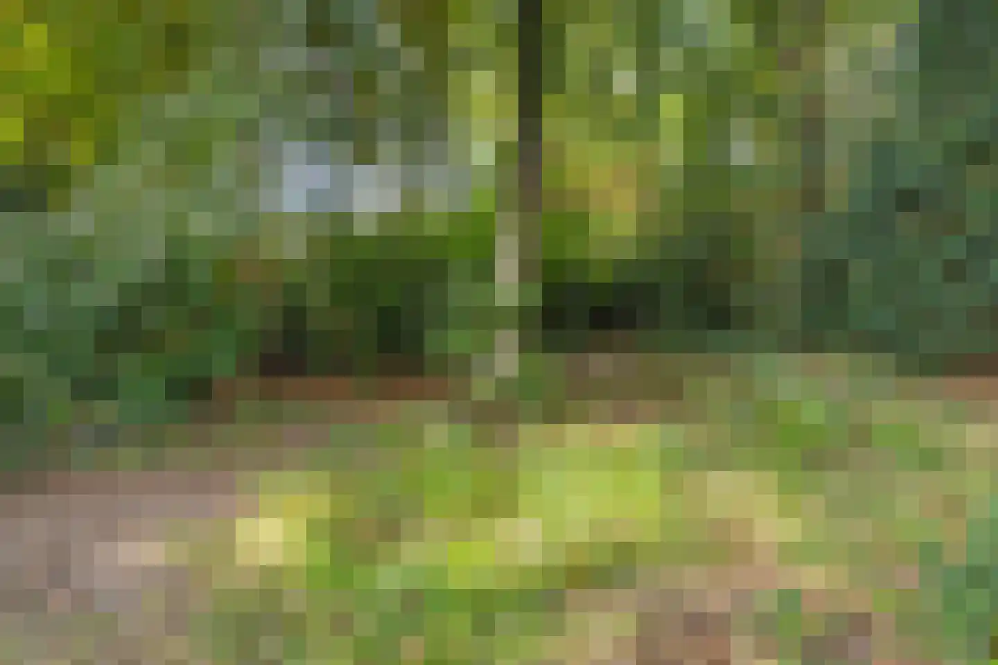 Platolaan 75 Zeist thumbnail 60
