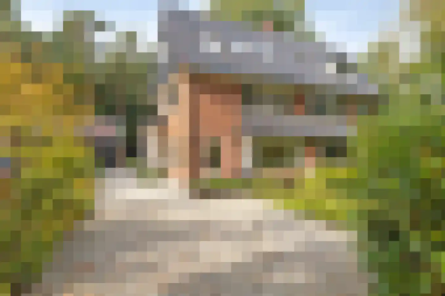 Platolaan 75 Zeist thumbnail 64