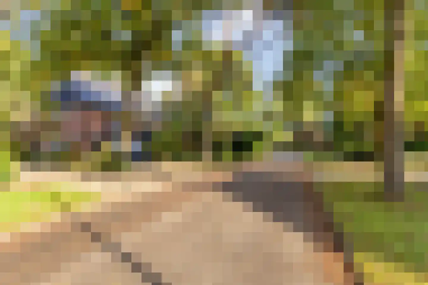 Platolaan 75 Zeist thumbnail 67