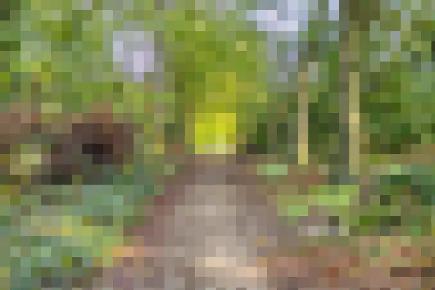 Platolaan 75 Zeist thumbnail 68