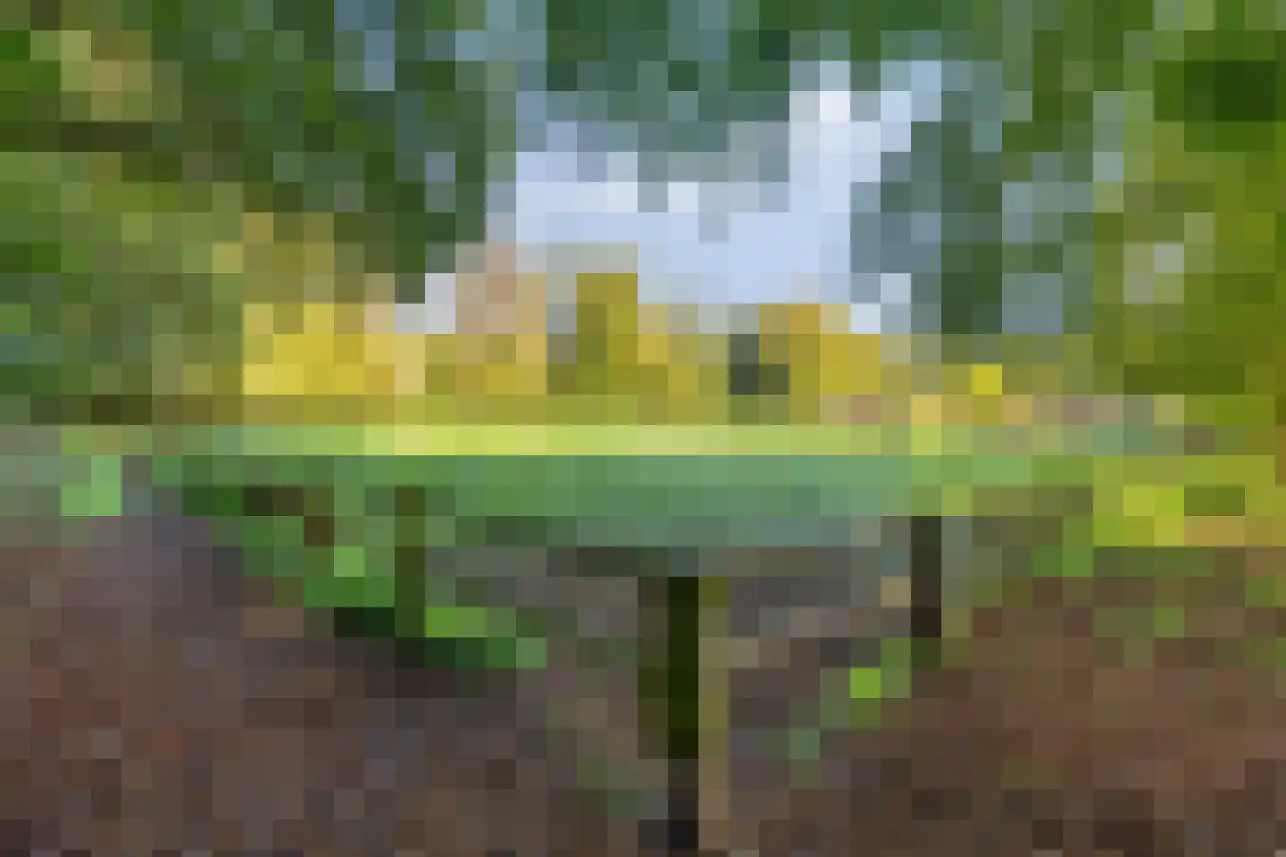 Platolaan 75 Zeist thumbnail 70