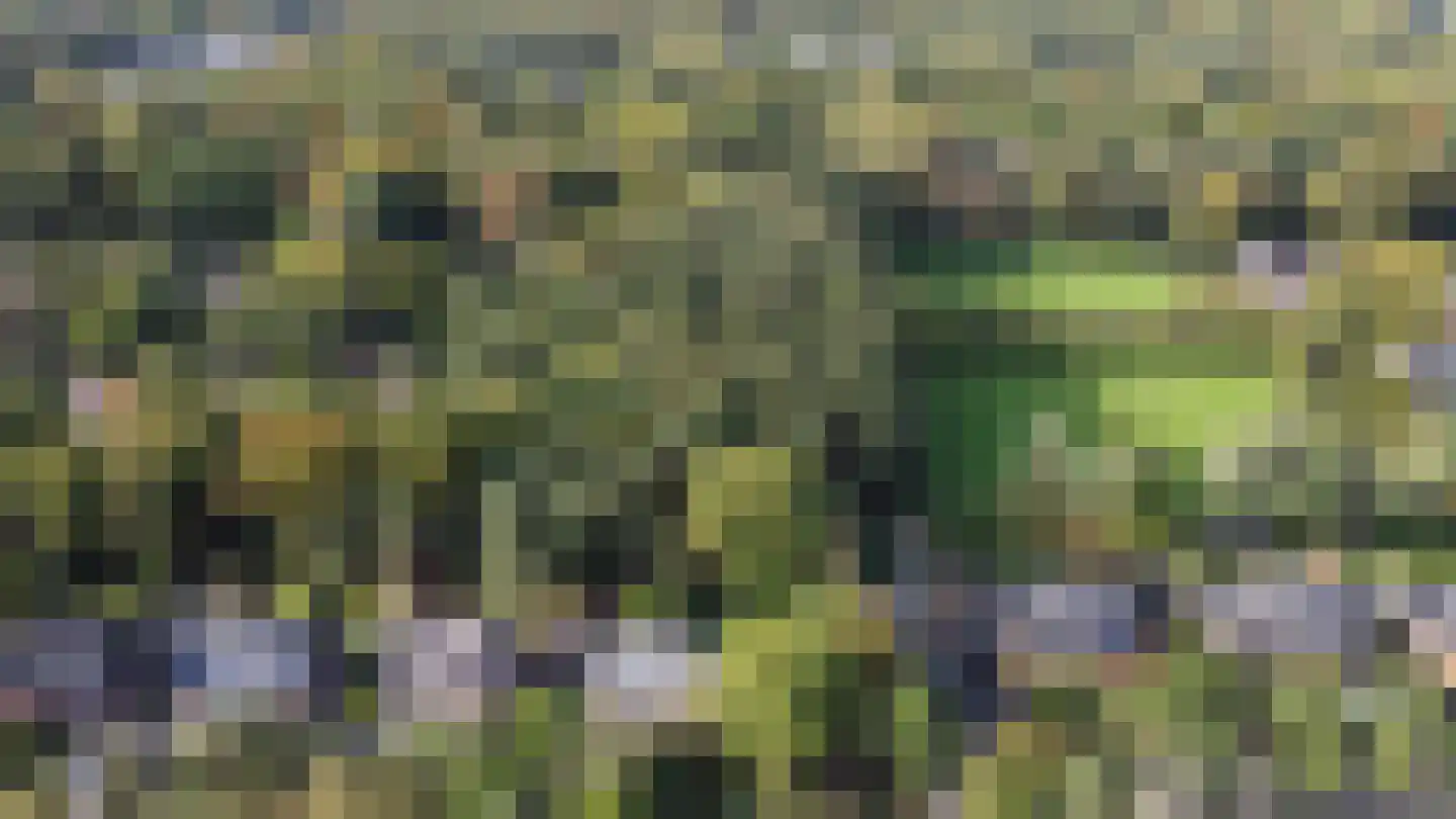 Platolaan 75 Zeist thumbnail 71