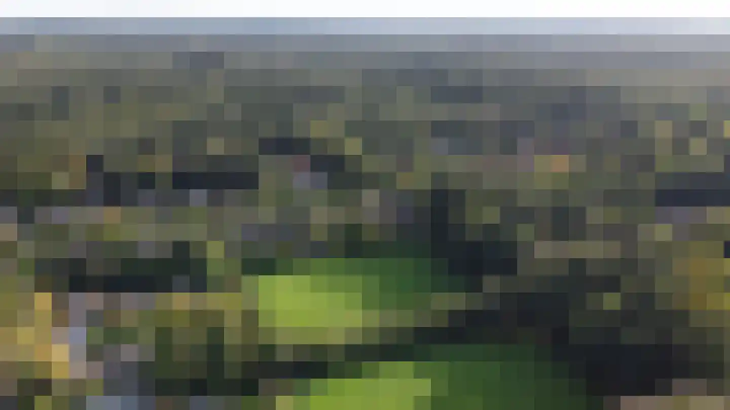Platolaan 75 Zeist thumbnail 72
