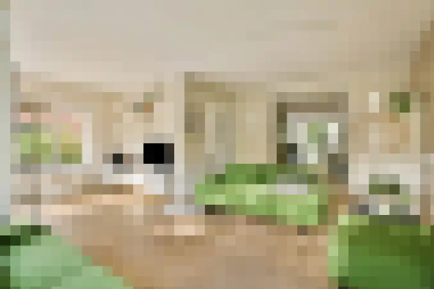 Platolaan 75 Zeist thumbnail 8