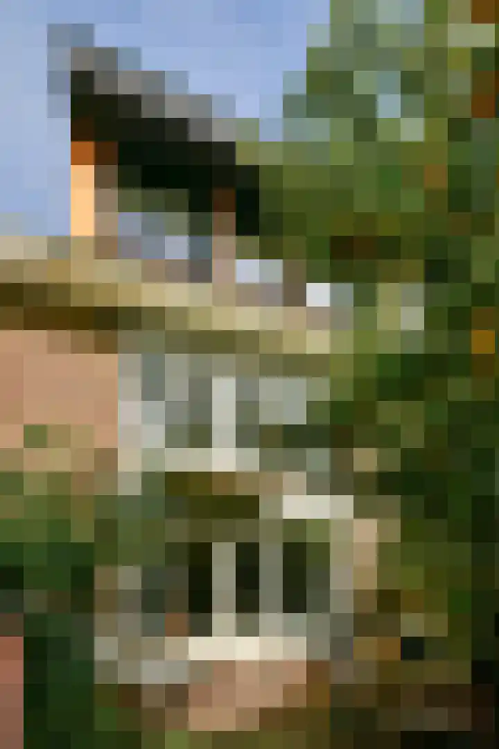 Platostraat 11 Amsterdam thumbnail 13