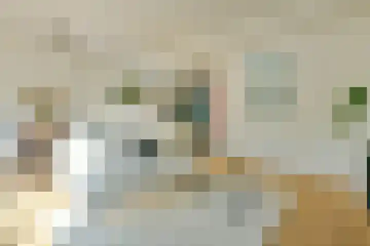 Platostraat 11 Amsterdam thumbnail 14