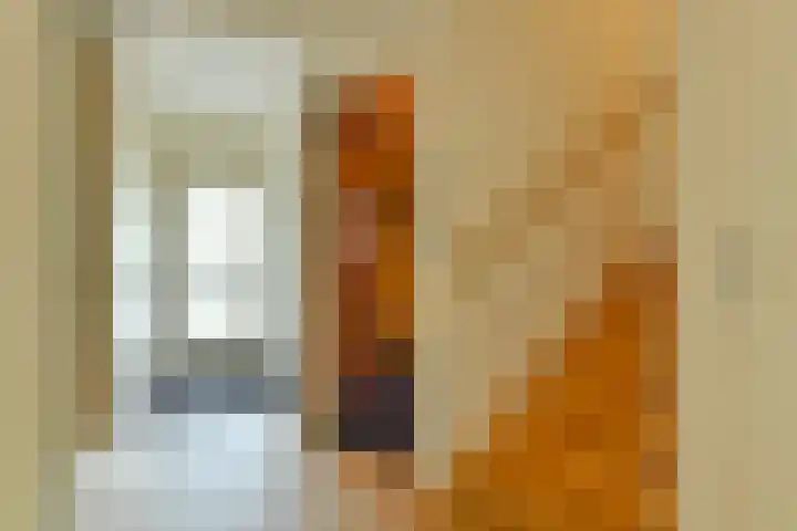 Platostraat 11 Amsterdam thumbnail 18