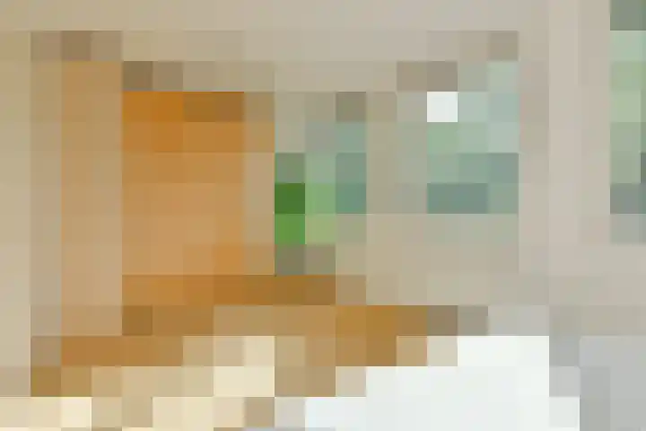 Platostraat 11 Amsterdam thumbnail 32
