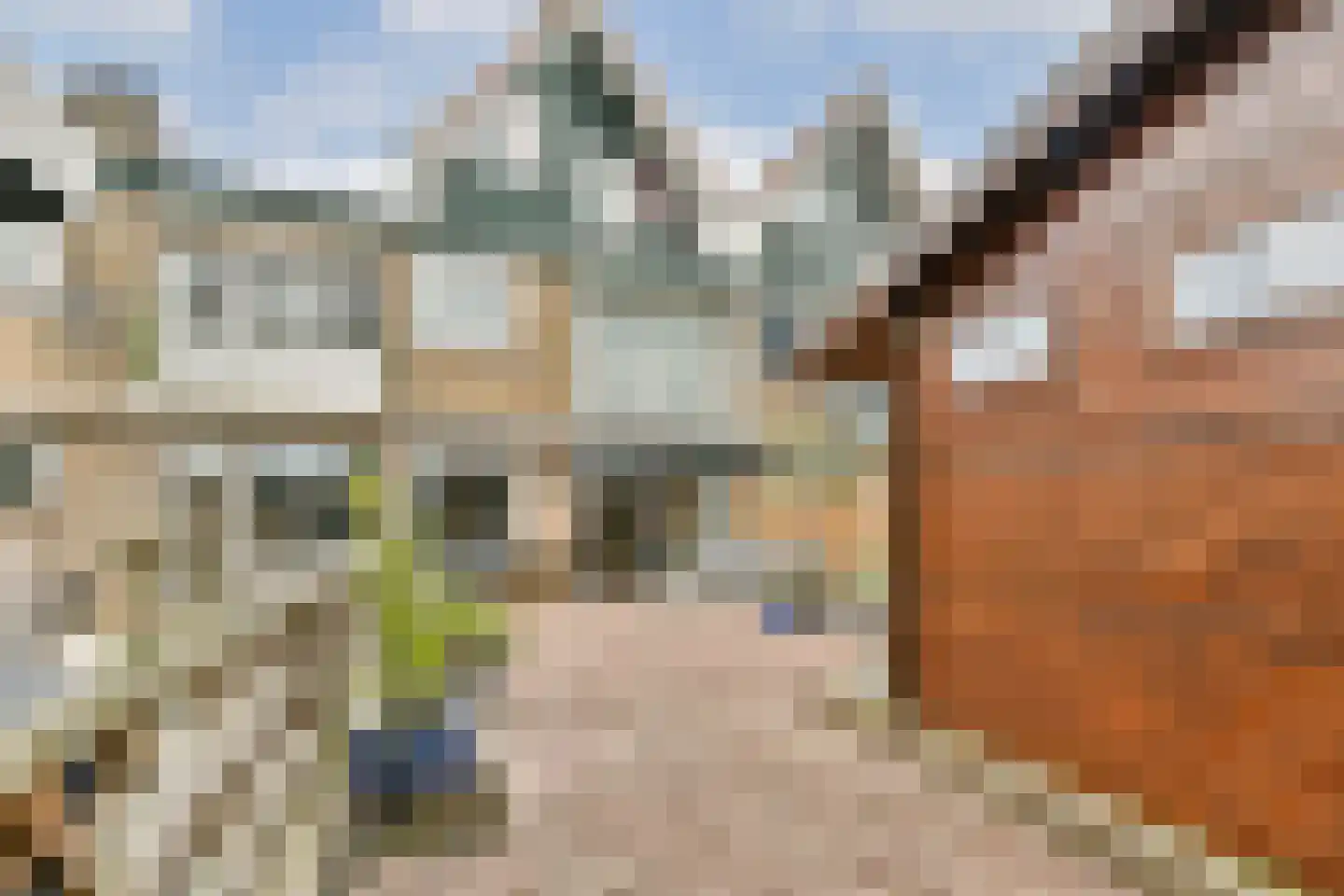 Platostraat 12 Rotterdam thumbnail 5