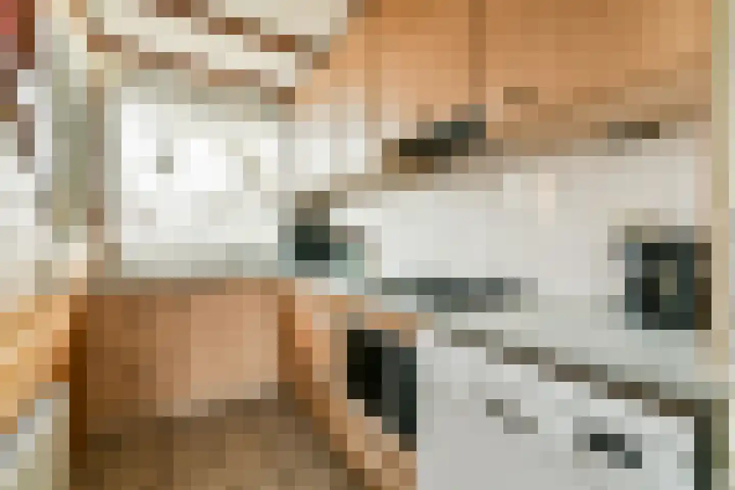 Platostraat 12 Rotterdam thumbnail 6