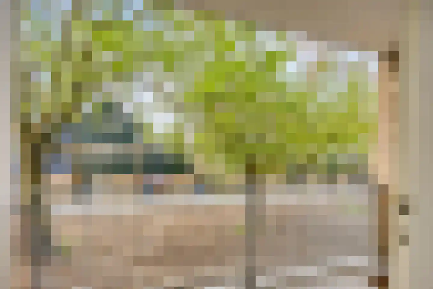Platostraat 124 Rotterdam thumbnail 11