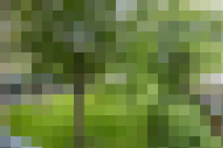 Platostraat 130 Rotterdam thumbnail 9
