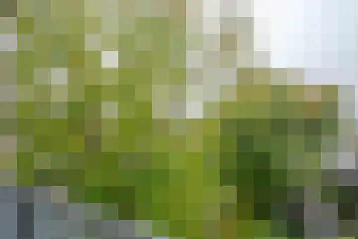 Platostraat 146 Rotterdam thumbnail 16