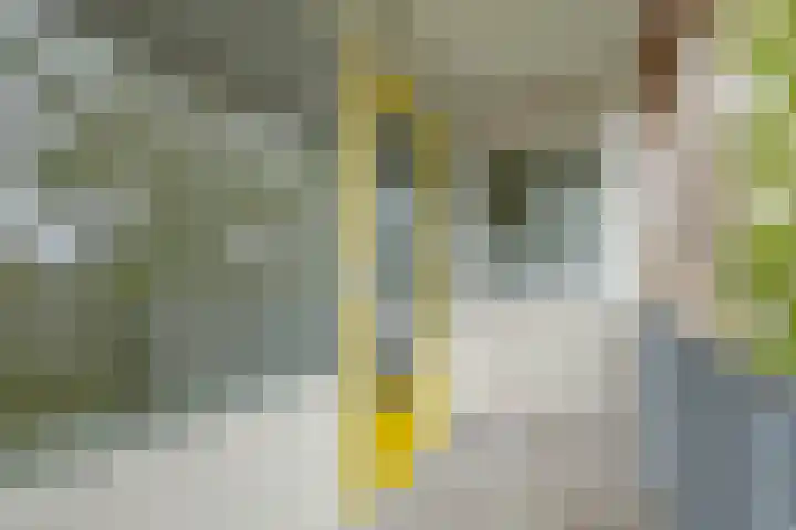Platostraat 146 Rotterdam thumbnail 5