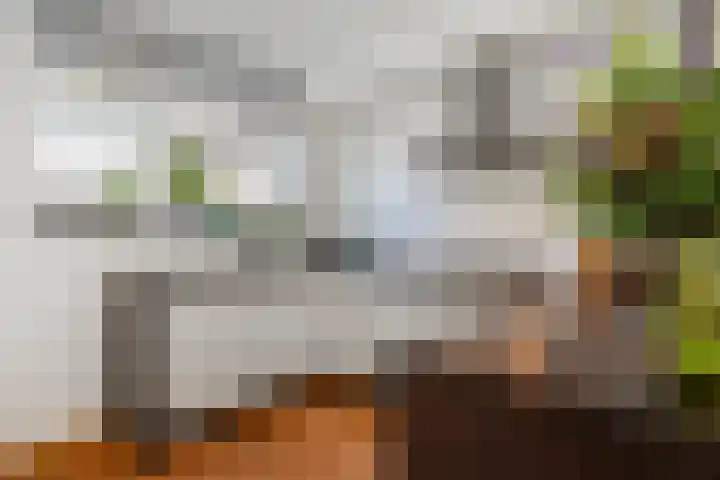 Platostraat 17 Honselersdijk thumbnail 10