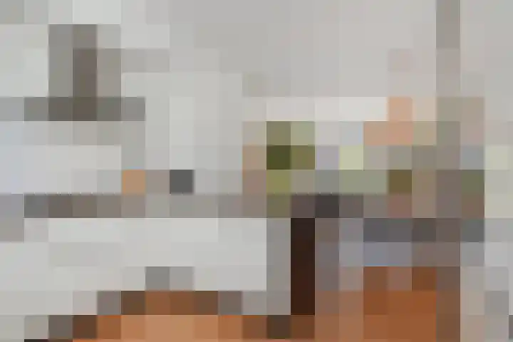Platostraat 17 Honselersdijk thumbnail 11
