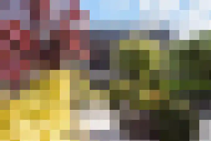 Platostraat 17 Honselersdijk thumbnail 22