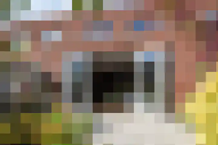 Platostraat 17 Honselersdijk thumbnail 25