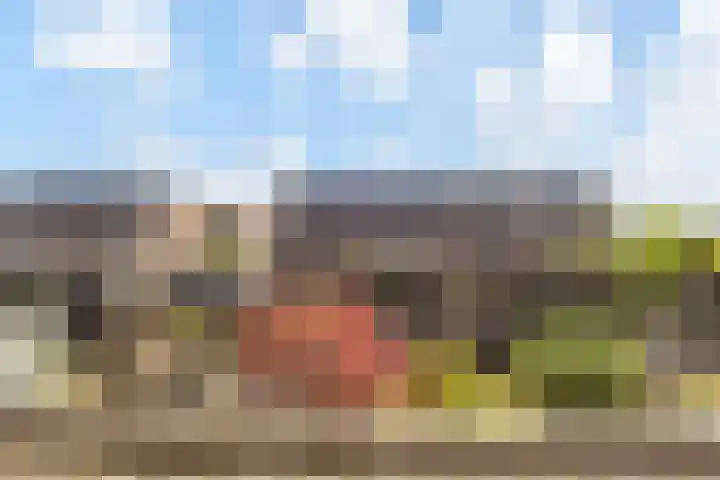 Platostraat 17 Honselersdijk thumbnail 32